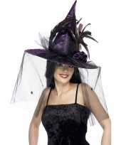 Halloween paarse heksenhoed sluier