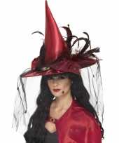 Halloween rode heksen hoed veren