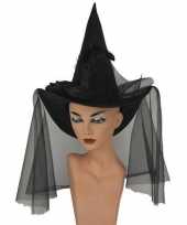 Halloween zwarte hoge heksenhoed met sluier