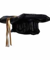 Opblaasbaar geslaagd hoedje