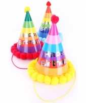 Verjaardag feesthoedje volwassenen